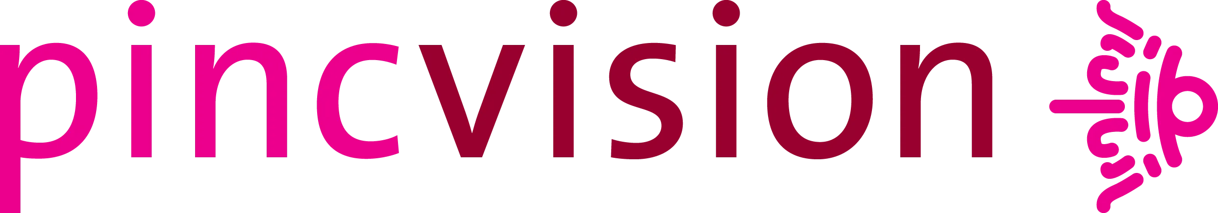 Pincvision